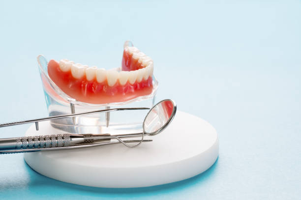 Best Traditional Braces  in Reidland, KY